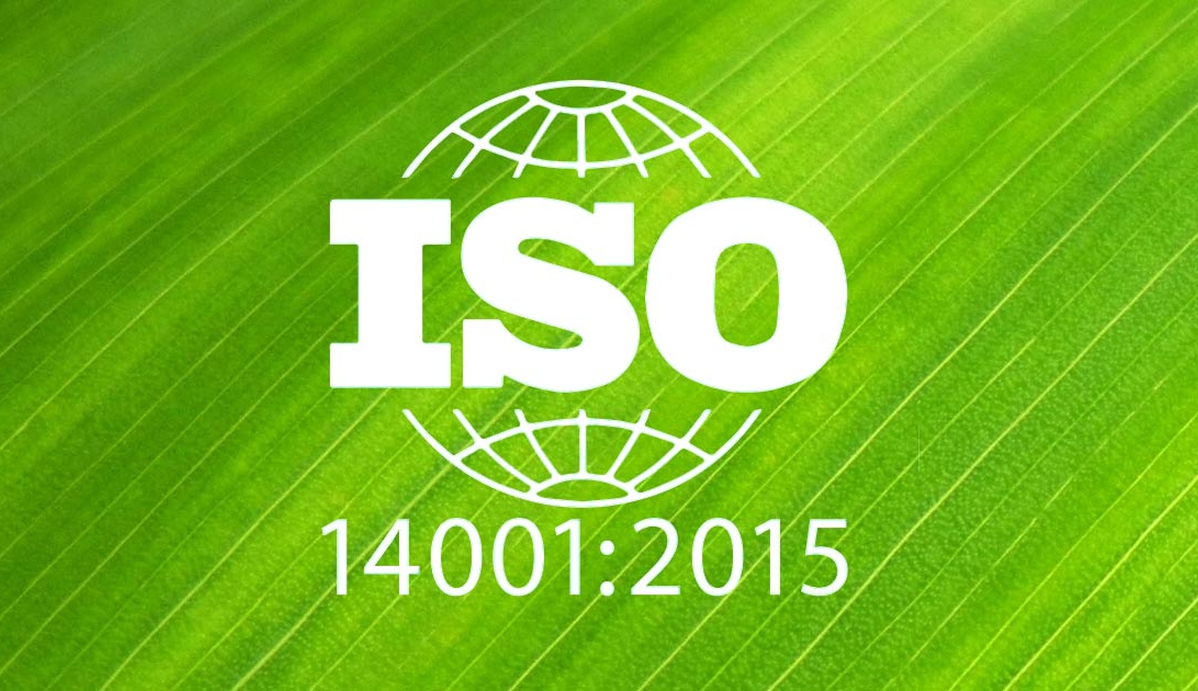 Исо 14001 документация. ISO 14001 2015 системы экологического менеджмента. Стандарт ISO 14001. Международный стандарт ISO 14001. ИСО 14001-2016 система экологического менеджмента.