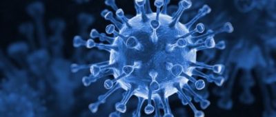 Influenza-virus-evolution-obrazek_sredni_4071416